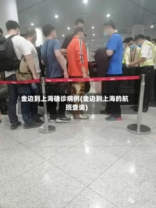 金边到上海确诊病例(金边到上海的航班查询)