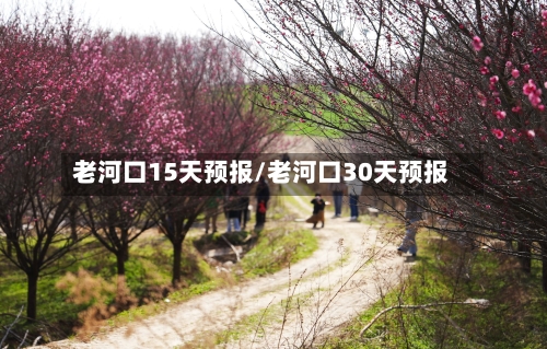 老河口15天预报/老河口30天预报