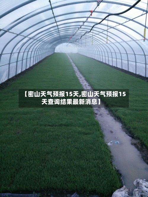 【密山天气预报15天,密山天气预报15天查询结果最新消息】
