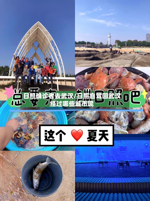 日照确诊者去武汉/日照自驾回武汉经过哪些城市呢