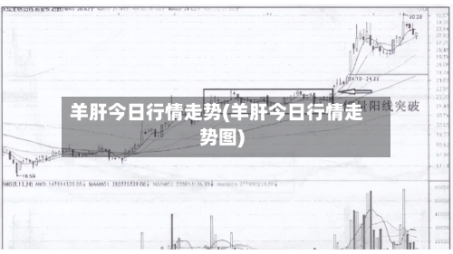 羊肝今日行情走势(羊肝今日行情走势图)