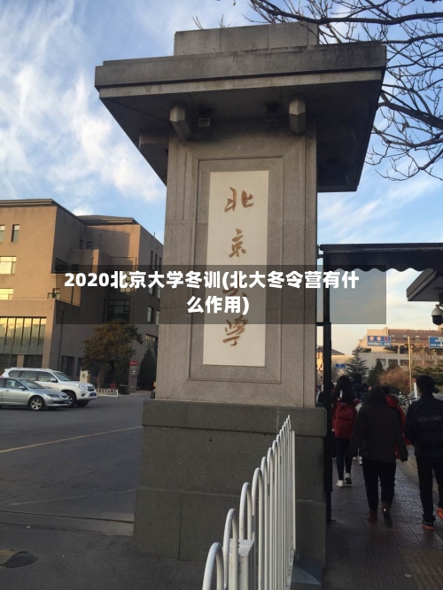 2020北京大学冬训(北大冬令营有什么作用)
