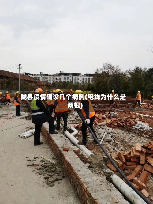 陇县疫情确诊几个病例(电线为什么是两根)