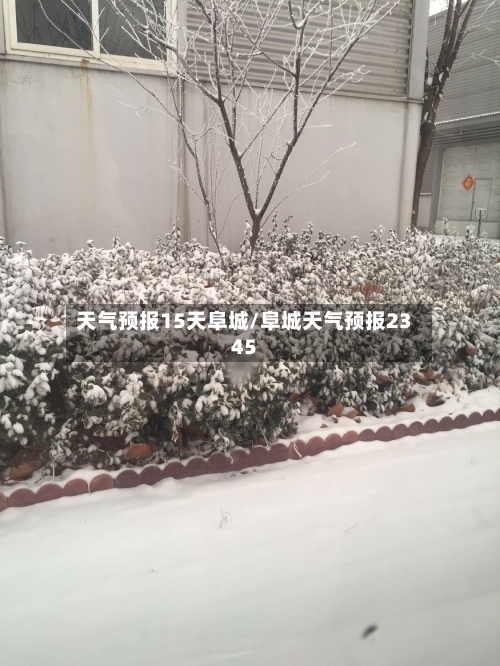 天气预报15天阜城/阜城天气预报2345