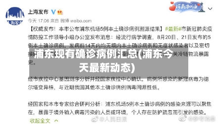 浦东现有确诊病例汇总(浦东今天最新动态)