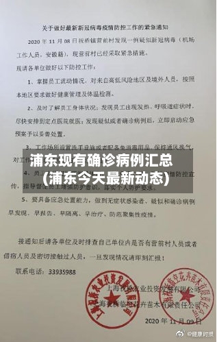 浦东现有确诊病例汇总(浦东今天最新动态)