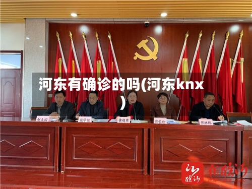 河东有确诊的吗(河东knx)