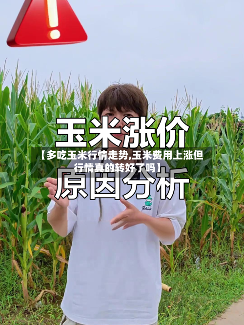 【多吃玉米行情走势,玉米费用上涨但行情真的转好了吗】