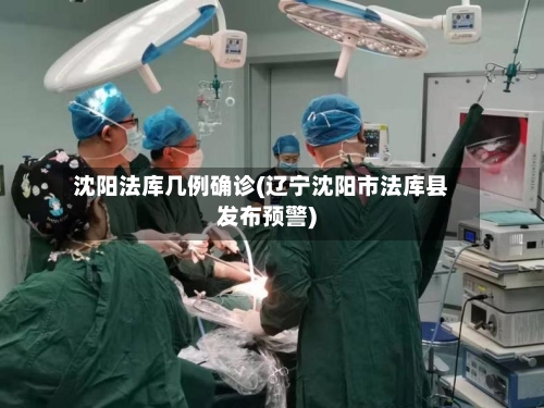 沈阳法库几例确诊(辽宁沈阳市法库县发布预警)