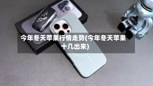 今年冬天苹果行情走势(今年冬天苹果十几出来)