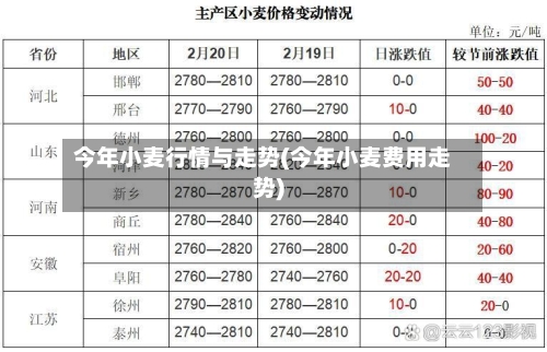 今年小麦行情与走势(今年小麦费用走势)