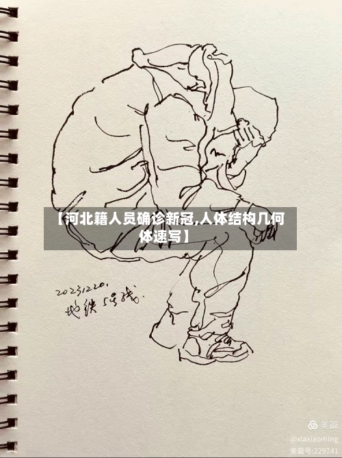 【河北籍人员确诊新冠,人体结构几何体速写】