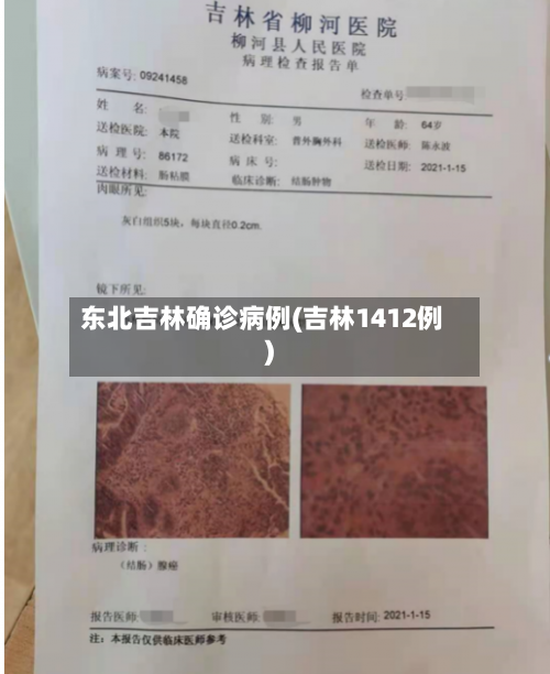 东北吉林确诊病例(吉林1412例)