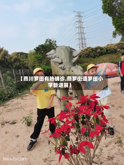 【燕川罗田有热确诊,燕罗街道罗田小学新进展】