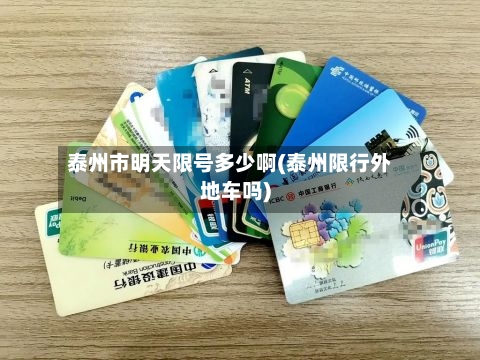 泰州市明天限号多少啊(泰州限行外地车吗)