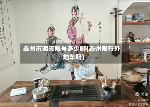 泰州市明天限号多少啊(泰州限行外地车吗)