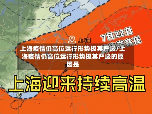上海疫情仍高位运行形势极其严峻/上海疫情仍高位运行形势极其严峻的原因是