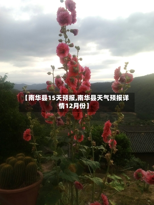【南华县15天预报,南华县天气预报详情12月份】