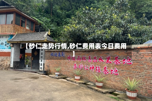 【砂仁走势行情,砂仁费用表今日费用】