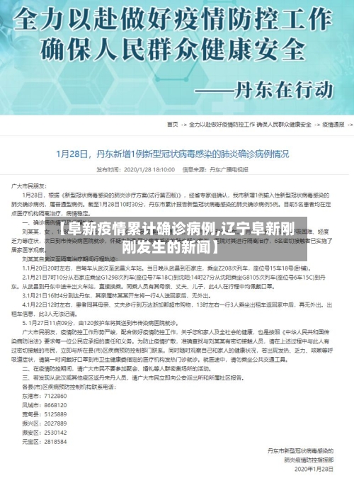【阜新疫情累计确诊病例,辽宁阜新刚刚发生的新闻】