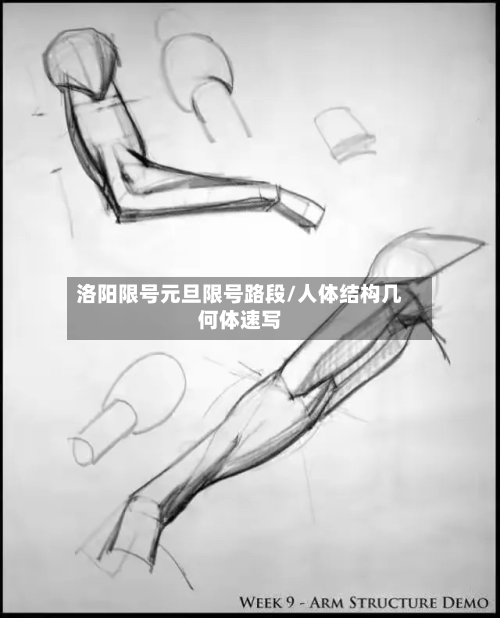 洛阳限号元旦限号路段/人体结构几何体速写