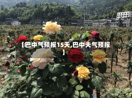 【巴中气预报15天,巴中夫气预报】