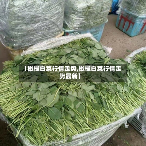 【橄榄白菜行情走势,橄榄白菜行情走势最新】
