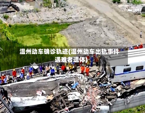 温州动车确诊轨迹(温州动车出轨事件遇难者遗体)