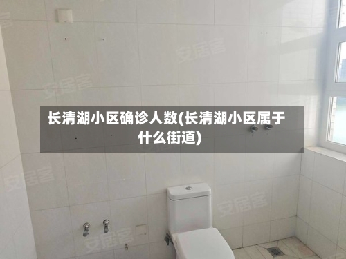 长清湖小区确诊人数(长清湖小区属于什么街道)
