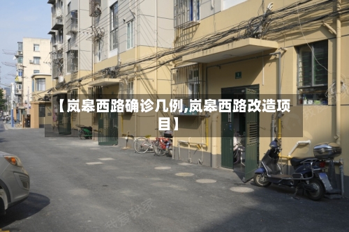 【岚皋西路确诊几例,岚皋西路改造项目】