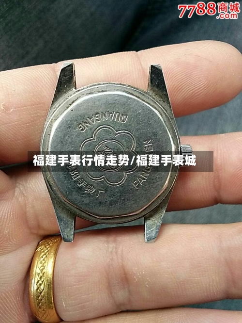福建手表行情走势/福建手表城