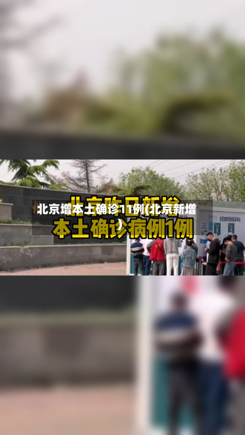 北京增本土确诊11例(北京新增)