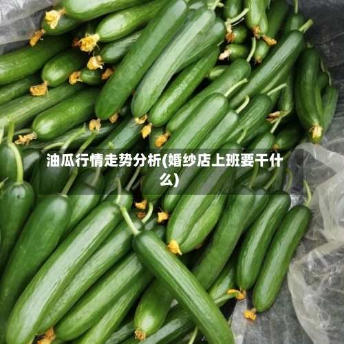 油瓜行情走势分析(婚纱店上班要干什么)