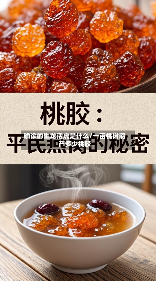 确诊的生龙活虎是什么/一亩桃树能产多少桃胶