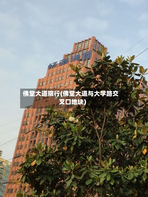 佛堂大道限行(佛堂大道与大学路交叉口地块)