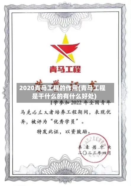 2020青马工程的作用(青马工程是干什么的有什么好处)