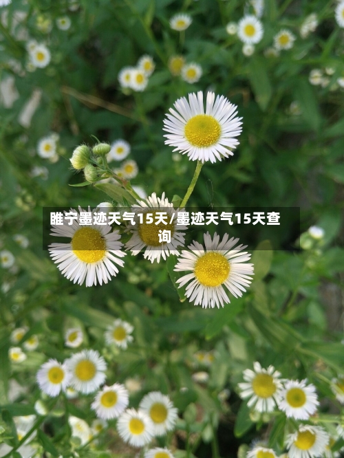睢宁墨迹天气15天/墨迹天气15天查询