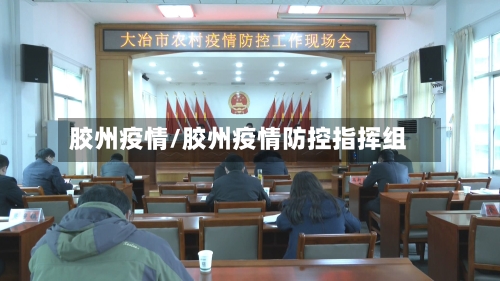 胶州疫情/胶州疫情防控指挥组