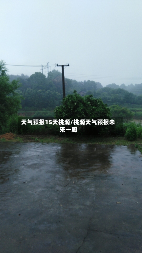 天气预报15天桃源/桃源天气预报未来一周