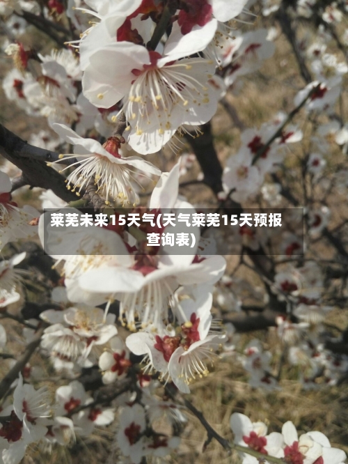 莱芜未来15天气(天气莱芜15天预报查询表)