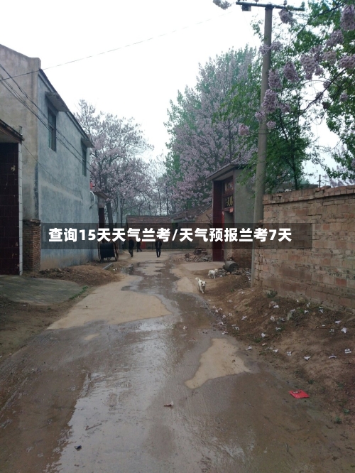 查询15天天气兰考/天气预报兰考7天
