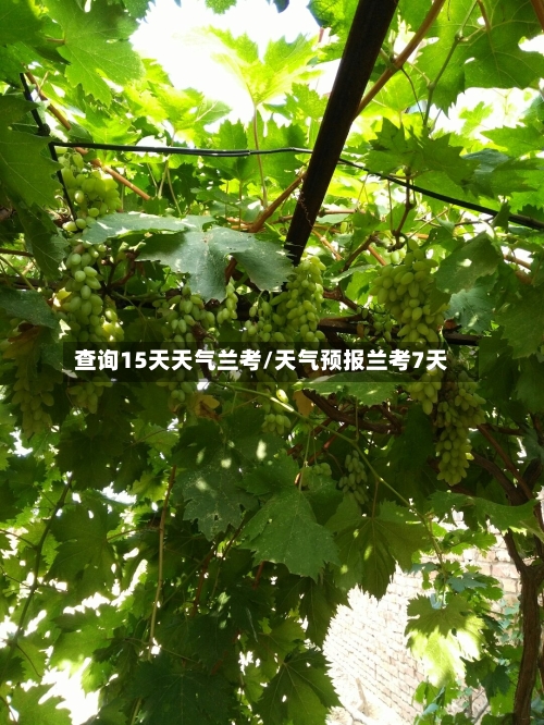 查询15天天气兰考/天气预报兰考7天