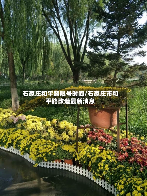 石家庄和平路限号时间/石家庄市和平路改造最新消息
