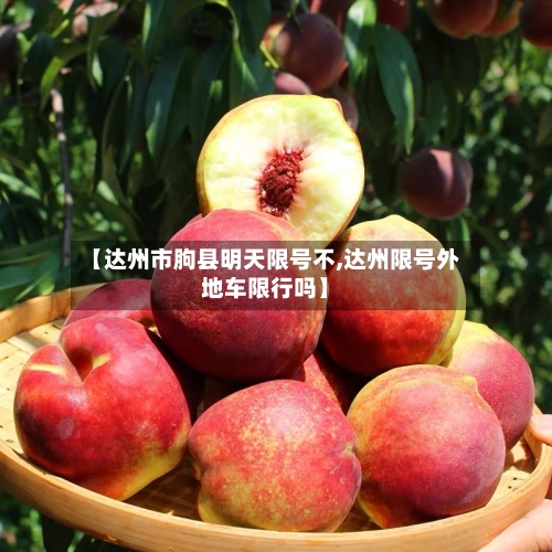 【达州市朐县明天限号不,达州限号外地车限行吗】