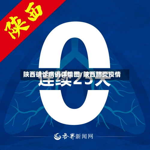 陕西确诊病例详情图/陕西肺炎疫情