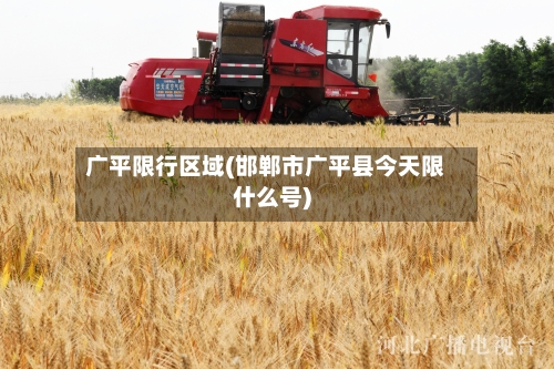 广平限行区域(邯郸市广平县今天限什么号)