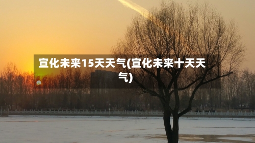 宣化未来15天天气(宣化未来十天天气)
