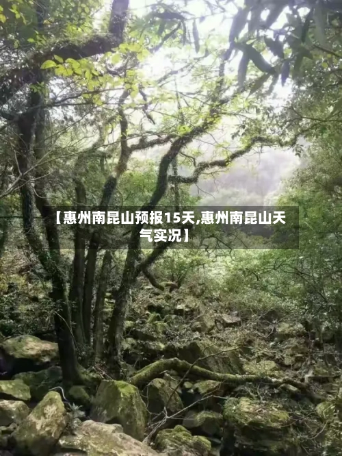 【惠州南昆山预报15天,惠州南昆山天气实况】
