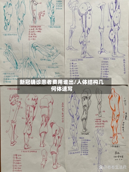 新冠确诊患者费用谁出/人体结构几何体速写