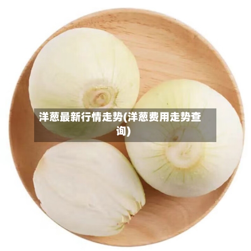 洋葱最新行情走势(洋葱费用走势查询)